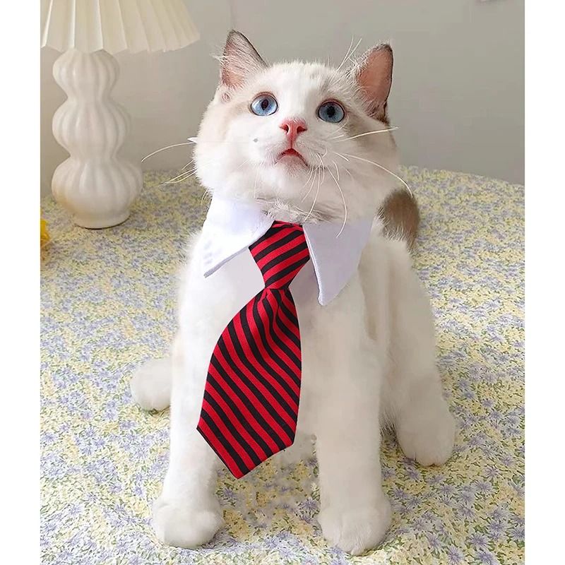 Pet Bow Tie